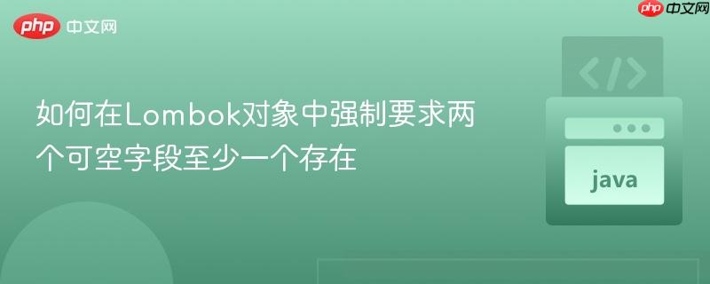 如何在Lombok对象中强制要求两个可空字段至少一个存在