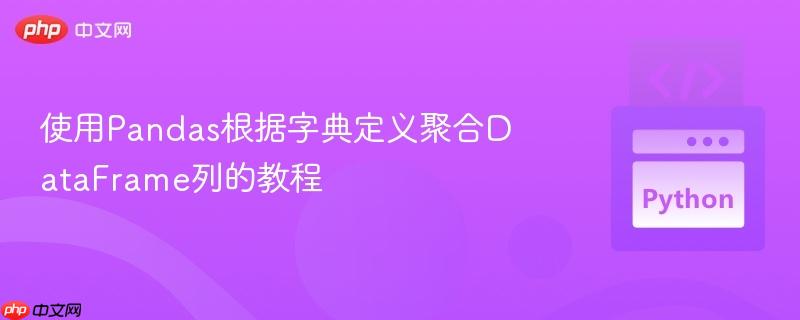 使用Pandas根据字典定义聚合DataFrame列的教程