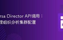 优化Versa Director API调用：正确处理组织分析集群配置