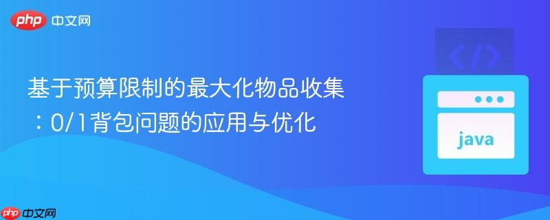 基于预算限制的最大化物品收集：0/1背包问题的应用与优化

