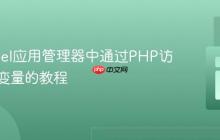 在cPanel应用管理器中通过PHP访问环境变量的教程