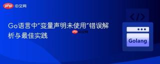 Go语言中“变量声明未使用”错误解析与最佳实践