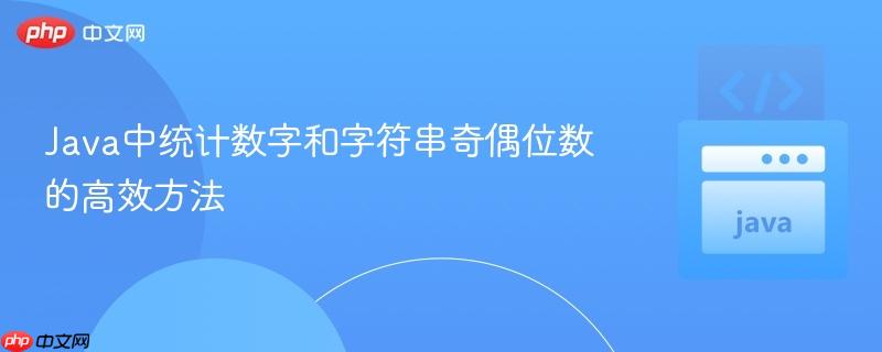 Java中统计数字和字符串奇偶位数的高效方法