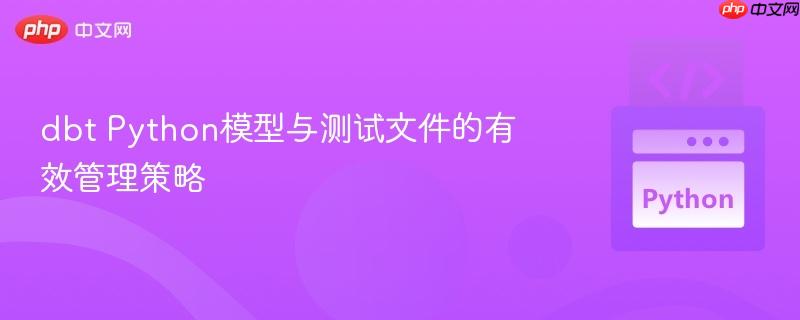 dbt Python模型与测试文件的有效管理策略