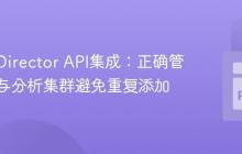 Versa Director API集成：正确管理组织与分析集群避免重复添加