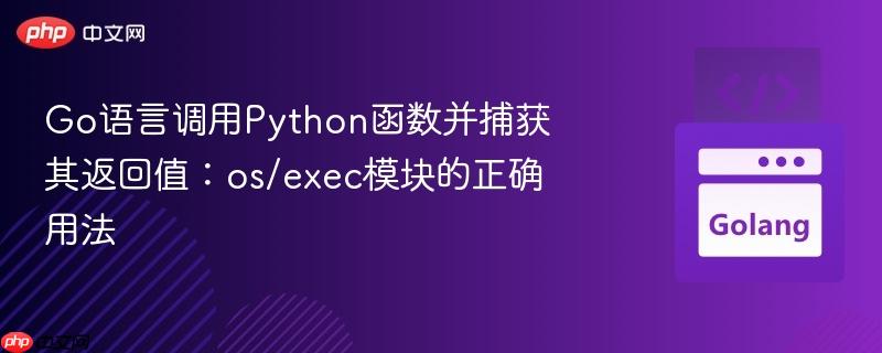 Go语言调用Python函数并捕获其返回值：os/exec模块的正确用法