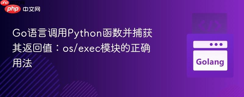 Go语言调用Python函数并捕获其返回值:os/exec模块的正确用法 Go语言调用Python函数并捕获其返回值:os/exec模块的正确用法