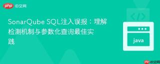 SonarQube SQL注入误报：理解检测机制与参数化查询最佳实践