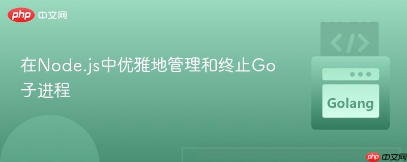 在Node.js中优雅地管理和终止Go子进程