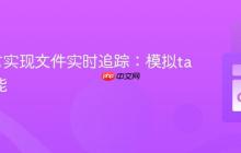 Go语言实现文件实时追踪：模拟tail -f功能