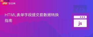 HTML表单字段提交前数据转换指南