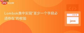 Lombok类中实现“至少一个字段必须存在”的校验
