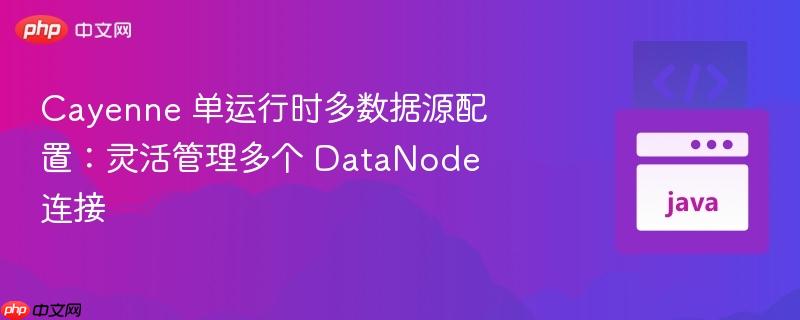 Cayenne 单运行时多数据源配置：灵活管理多个 DataNode 连接