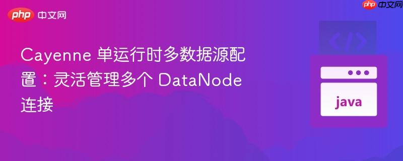Cayenne 单运行时多数据源配置:灵活管理多个 DataNode 连接