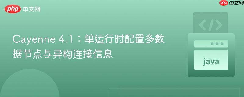Cayenne 4.1：单运行时配置多数据节点与异构连接信息