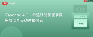Cayenne 4.1：单运行时配置多数据节点与异构连接信息