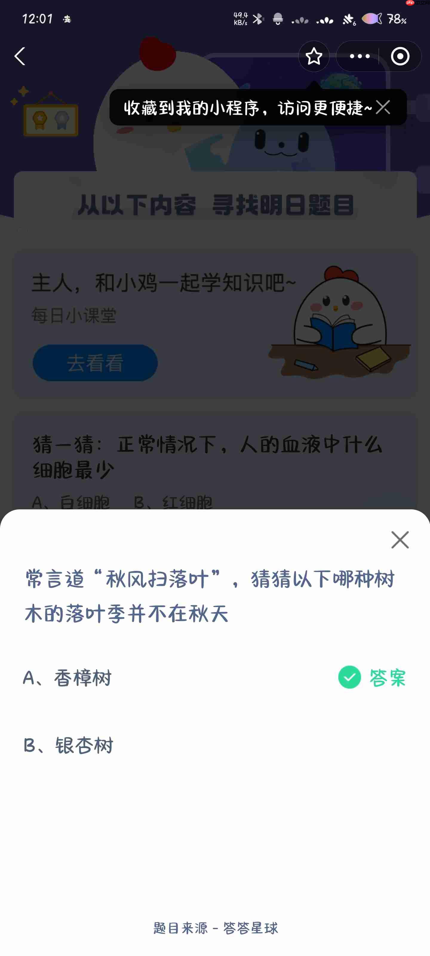 常言道秋风扫落叶猜猜以下哪种树木的落叶季并不在秋天