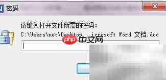 Office文件加密方法