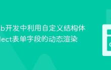 Go Web开发中利用自定义结构体优化Select表单字段的动态渲染