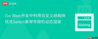 Go Web开发中利用自定义结构体优化Select表单字段的动态渲染
