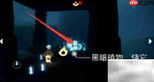 光遇2.10每日任务攻略