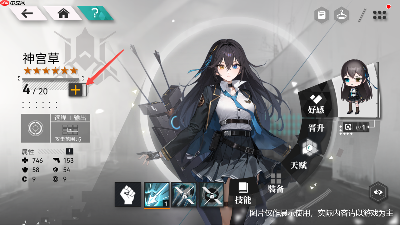 环外角色养成手册