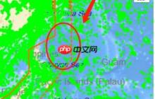 船讯网app微档案查看方法