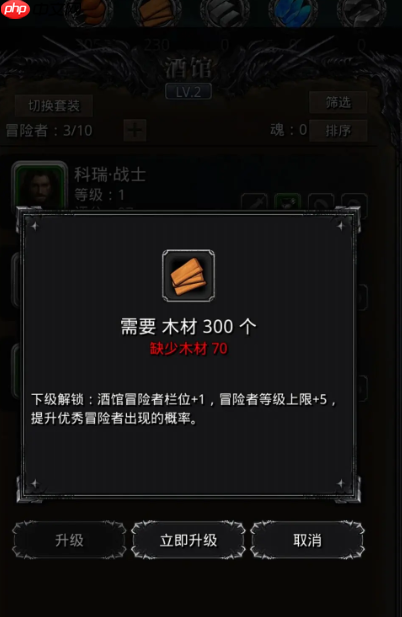 《地下城堡4:骑士与破碎编年史》巴隆塔介绍