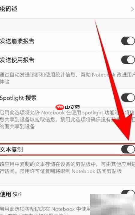 如何关闭Notes Writer文本复制
