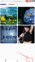 《彩虹主题壁纸》收藏查看方法
