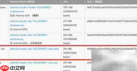 MAC上快速配置Android Studio