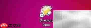 directory opus菜单动画设置