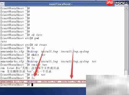 Linux常用命令速学