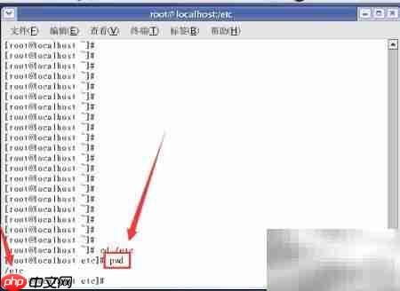 Linux常用命令速学
