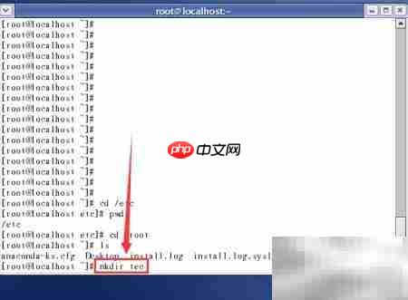 Linux常用命令速学