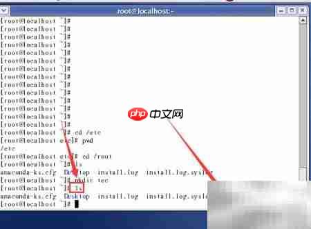 Linux常用命令速学