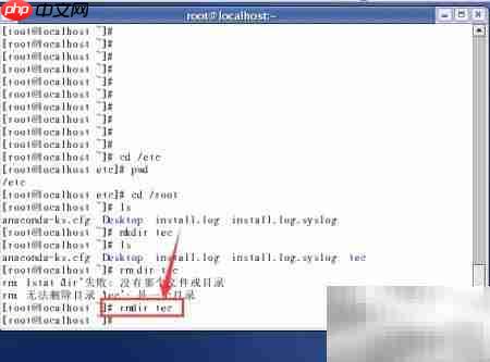 Linux常用命令速学