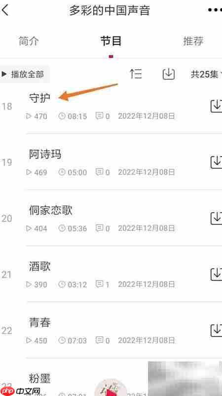 云听守护查看方法