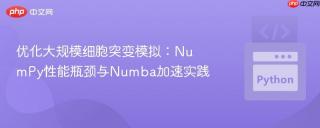 优化大规模细胞突变模拟：NumPy性能瓶颈与Numba加速实践