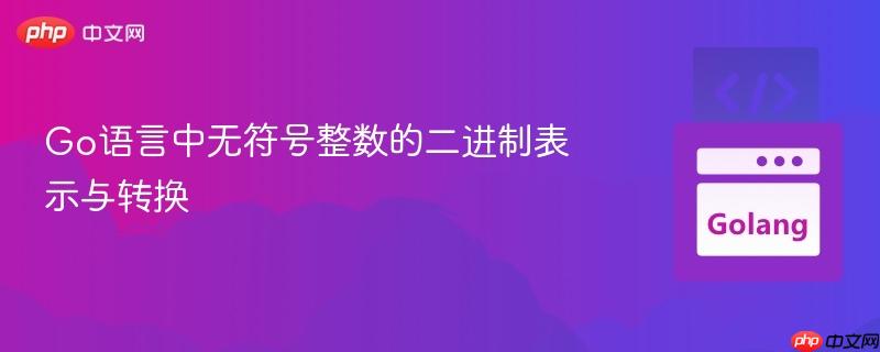 Go语言中无符号整数的二进制表示与转换