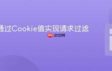 Nginx通过Cookie值实现请求过滤与阻断