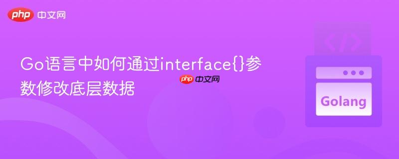 Go语言中如何通过interface{}参数修改底层数据