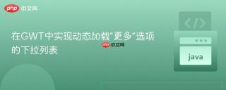 在GWT中实现动态加载“更多”选项的下拉列表
