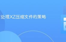 Go语言处理XZ压缩文件的策略与实践