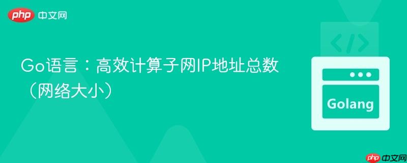 Go语言:高效计算子网IP地址总数(网络大小)