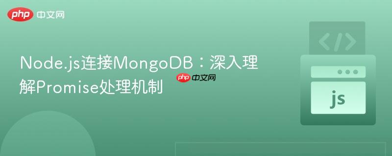 Node.js连接MongoDB:深入理解Promise处理机制