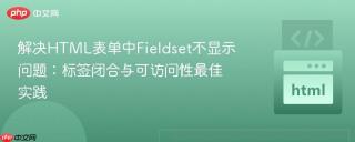 解决HTML表单中Fieldset不显示问题：标签闭合与可访问性最佳实践