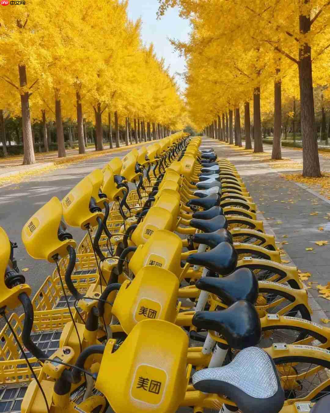 共享单车再卷体验,美团、滴滴青桔、哈啰等用上“暖暖手套”