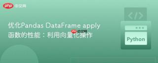 优化Pandas DataFrame apply 函数的性能：利用向量化操作
