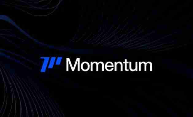 什么是Momentum(MMT)币？它是如何运作的？Momentum运作方式、代币经济及路线图介绍